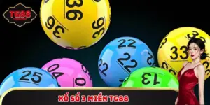 Xổ số 3 miền TG88